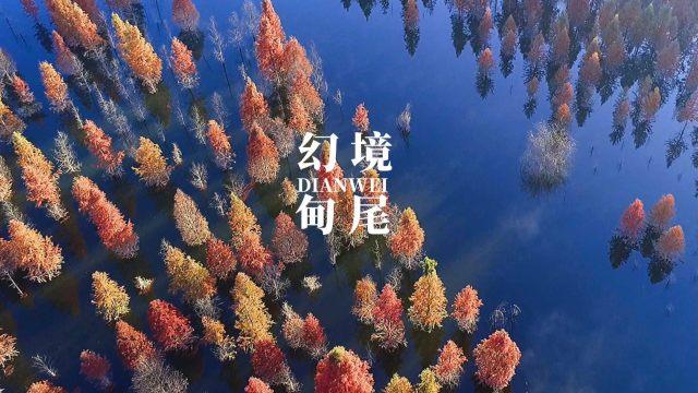 如何单独编译Android源代码中的模块